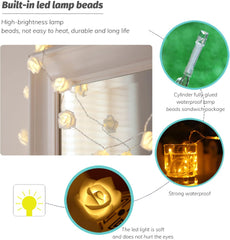 LED Rose Flower String Lights, 20 Warm White Battery Fairy Lights