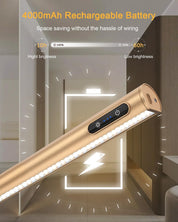 Picture Wall Lights with Remote