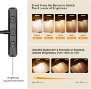 Rechargeable 19 LED Book Light with Flexible Neck