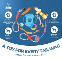 Dog Chew Toys 10-Pack, Rope & Squeaky Teething Toys for Small & Medium Dogs