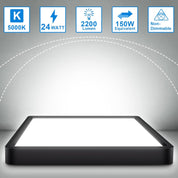 24W LED Ceiling Light, Flush Mount, IP54 Waterproof Fixture