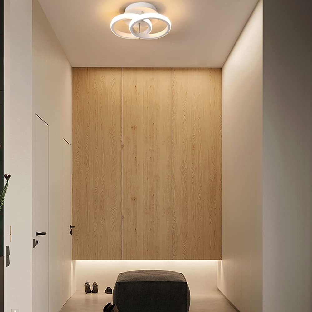 Modern LED Ceiling Light, Stylish Chandelier
