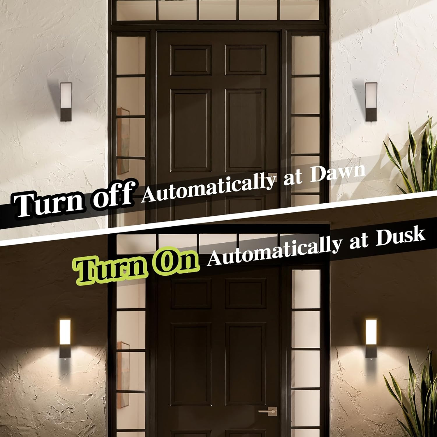 2_9e9a4dee-5ccc-4694-b18b-79de9c02806b.jpg
