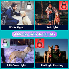 2 Pack LED Dog Collar Lights – Rechargeable Clip-On Pet Safety Lights with RGB Modes, Waterproof & Lightweight for Night Walking
