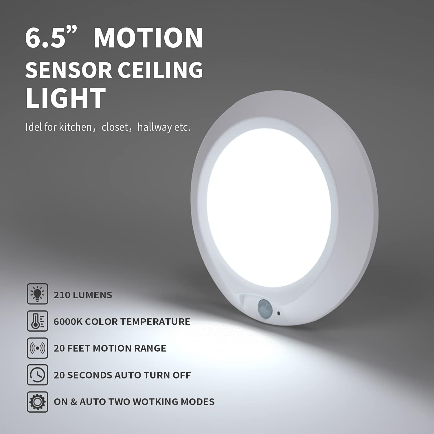 Motion Sensor Ceiling Light for Shed