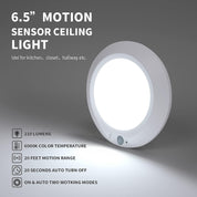 Motion Sensor Ceiling Light for Shed