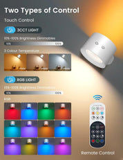 Rechargeable Dimmable Wall Sconce