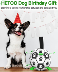 Interactive 6-Inch Dog Football Toy with Webbing, Durable Indoor & Outdoor Ball