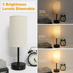 Touch Bedside Lamp with USB Ports & Dimmable Light