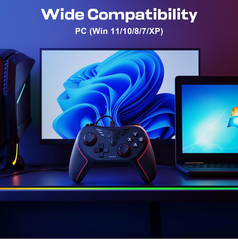 Wired Game Controller for PC with Paddles, Vibration & Mappable Buttons – Black