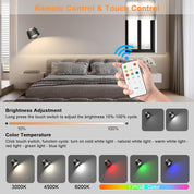 2 Pack Picture Spotlights With Remote