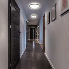 flush mount ceiling lights 