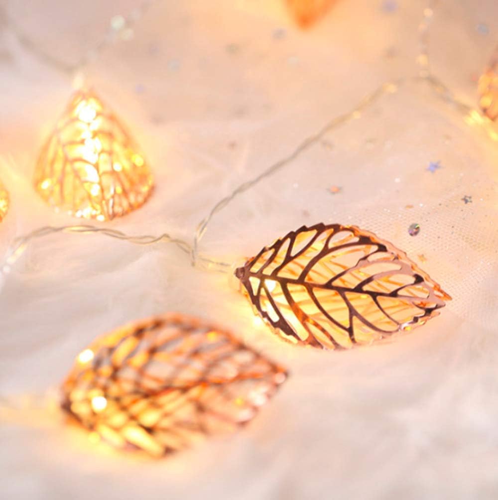 3M 20LED Metal Fairy String Lights Rose Gold Metal Fairy Lights USB Type & remote control