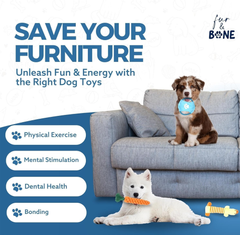 Dog Chew Toys 10-Pack, Rope & Squeaky Teething Toys for Small & Medium Dogs