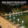 10 Pack Garden Lawn Lights