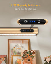 Picture Wall Lights with Remote