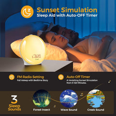 Wake Up Light Sunrise Alarm Clock with Dual Alarms, FM Radio, and 9 Color Modes