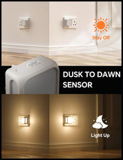 Dimmable Plug-in Night Light with Dusk to Dawn Sensor