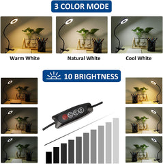 Pack of 2 Clip-On LED Lamps for Reading, Studying, and Gaming - 3 Color Modes, Eye-Care Desk Light - Black