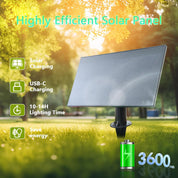 Solar Festoon String Lights