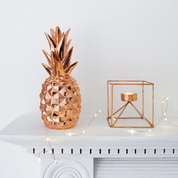 Battery-Operated Indoor Fairy Lights