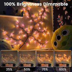 Cherry Blossom Vine Fairy Lights with Remote