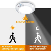 Motion Sensor Ceiling Light for Shed