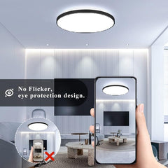 flush mount ceiling lights 