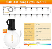 65.5ft Outdoor String Lights with Remote & Dimmable LEDs