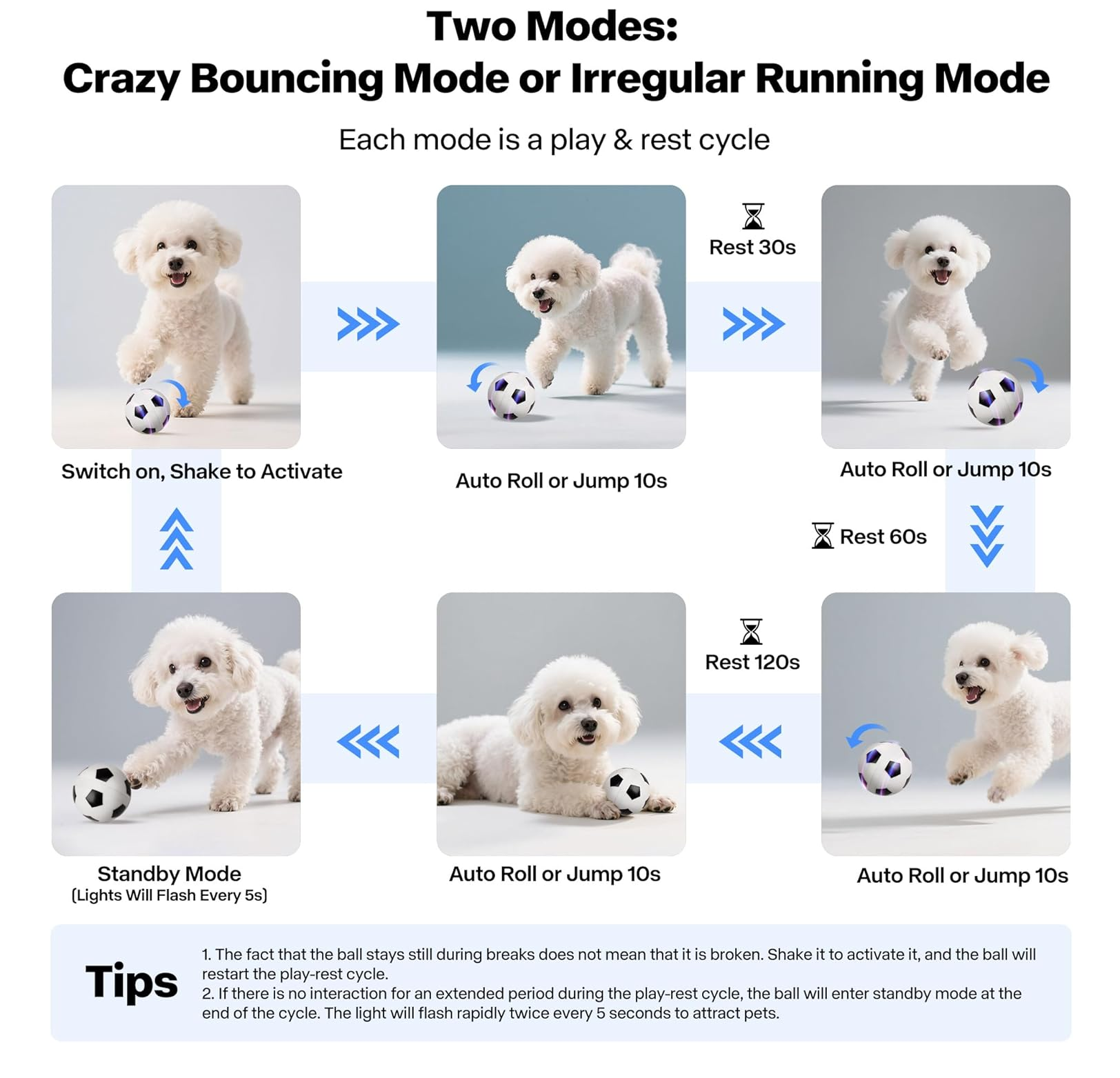 Interactive Smart Dog Ball 3.15" USB Rechargeable Moving Toy with LED Lights