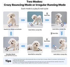 Interactive Smart Dog Ball 3.15