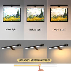 Wireless Painting Light Rechargeable Picutre Light 16inch with Remote, Rechargeable Display Light for Artwork 300Lumens Dimmable