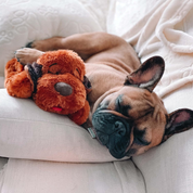Puppy Heartbeat Stuffed Toy for Dogs, Calming Aid & Anxiety Relief (Brown)