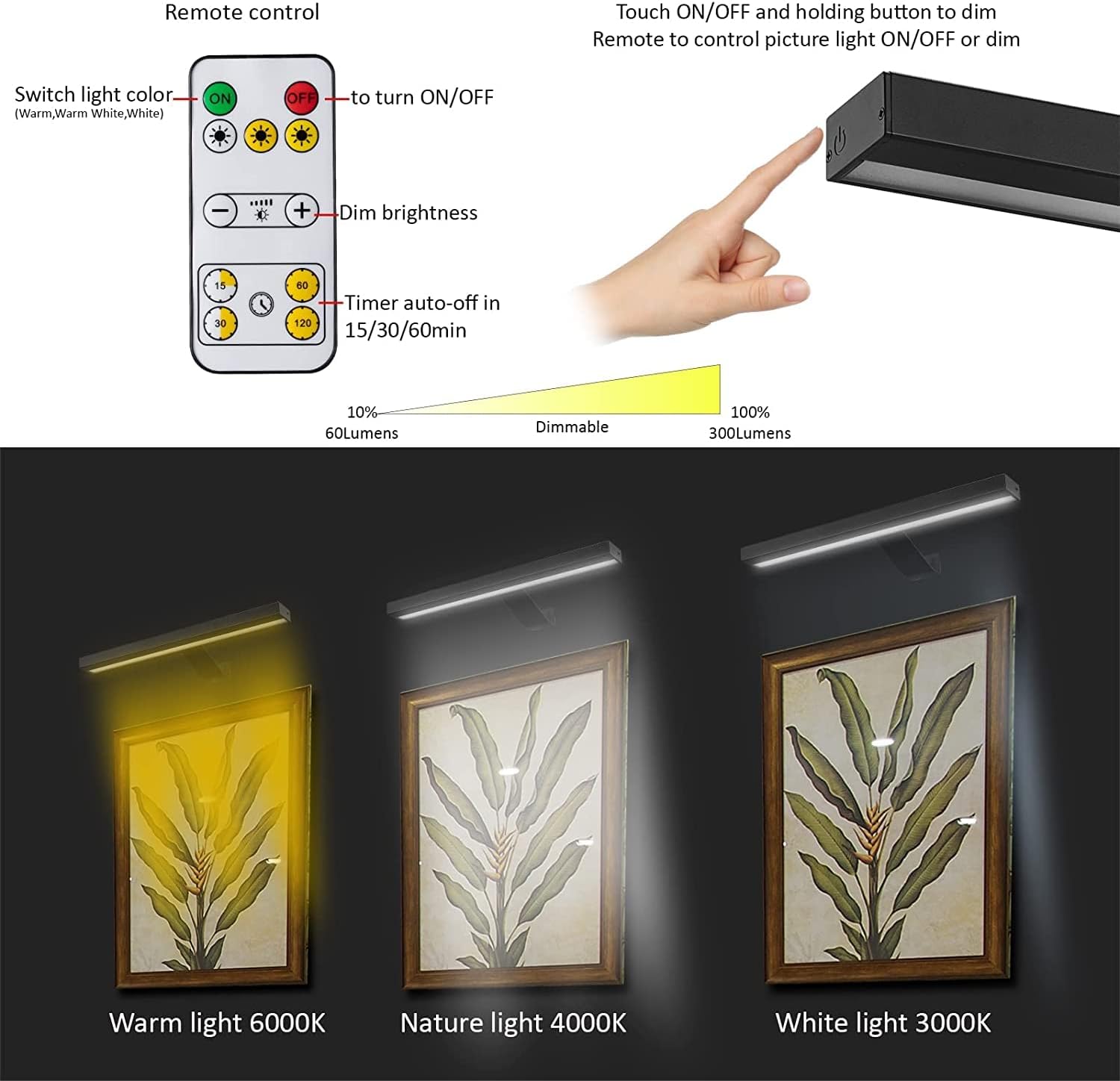 Wireless LED Picture Light with Remote