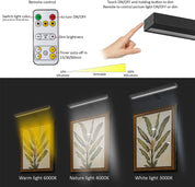 Wireless LED Picture Light with Remote