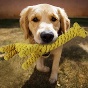 Giraffe Rope Chew Toy for Dogs – Teething, Training & Boredom Relief for Puppies