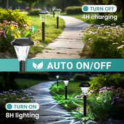 Solar Garden Lights Outdoor – 8 Pack Waterproof Pathway