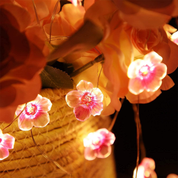 Battery Operated pink fairy lights