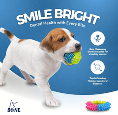 Dog Chew Toys 10-Pack, Rope & Squeaky Teething Toys for Small & Medium Dogs