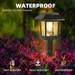 6 Pack Solar Garden Pathway Lights – Waterproof Outdoor Lamps