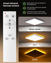 Dimmable LED Ceiling Light 24W with Night Light & Remote