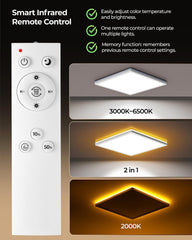 Dimmable LED Ceiling Light 24W with Night Light & Remote
