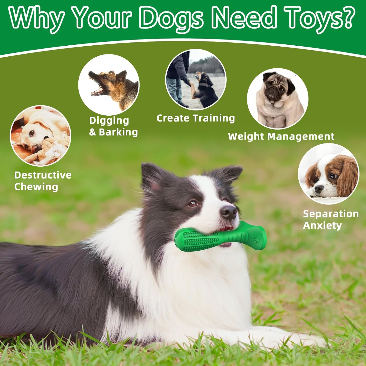 Dog Toothbrush Chew Toy – Natural Rubber Teeth Cleaning & Dental Care for Puppies