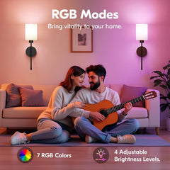 2 Pack Rechargeable Wall Sconces with Remote, 9 Colors Dimmable