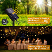 Clerance Sale - Golden Ball Fairy Lights