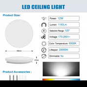 Modern Round LED Ceiling Light – 12W/18W, Waterproof, 6500K