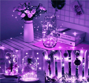 50 LEDs Fairy Lights for Bedroom