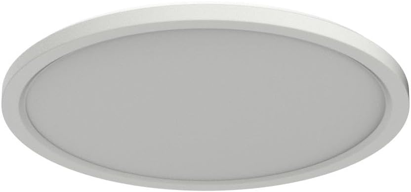 30CM LED Ceiling Light with Remote & RGB Backlight