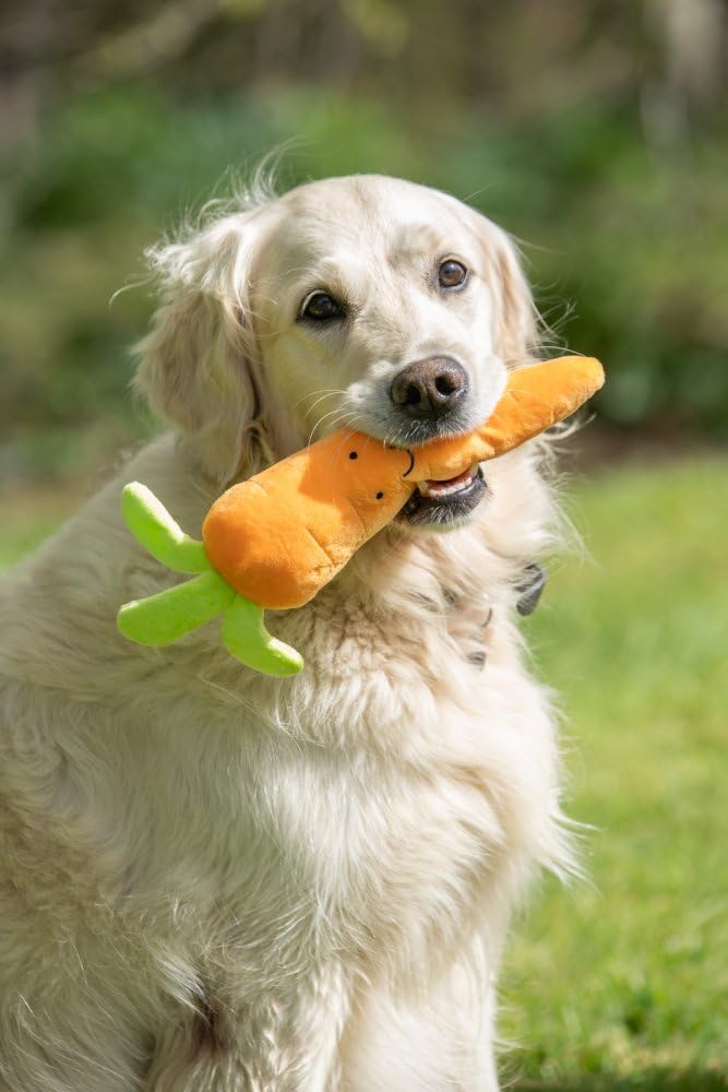 Foodie Faces Fluffy Carrot Dog Toy – Soft, Squeaky & Fun Plush Toy for Dogs