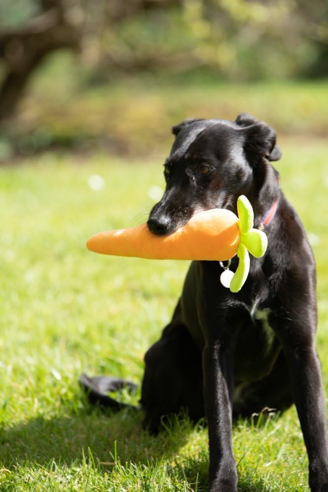 Foodie Faces Fluffy Carrot Dog Toy – Soft, Squeaky & Fun Plush Toy for Dogs